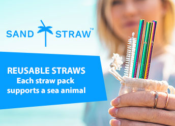 Best Reusable Straws? Why Sand Straw is the King.